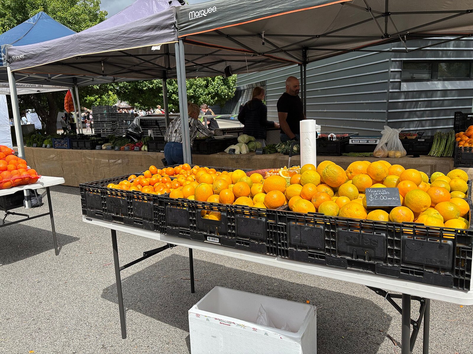 An outdoor farmers market: open-air stalls, fresh produce, and shoppers browsing under a sunny sky